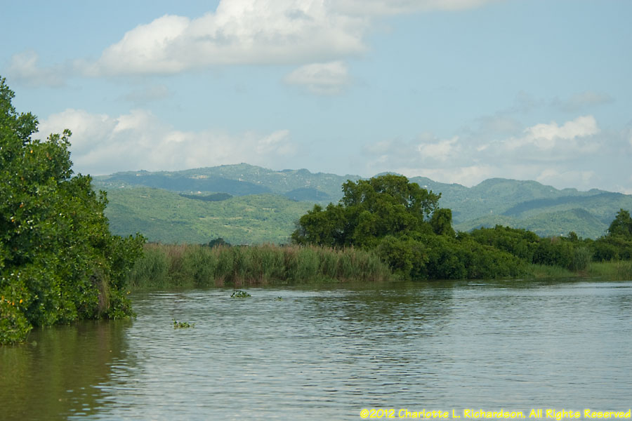 Black River Photo Gallery